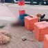 Perrito no abandona el cuerpo de su dueño
