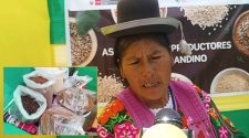 Día Nacional de los Granos Andinos