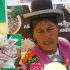 Día Nacional de los Granos Andinos
