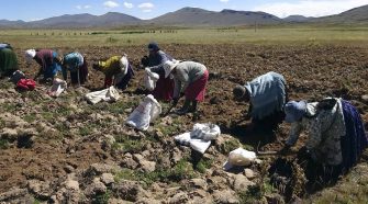 Día del Campesino