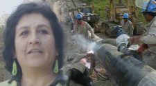 Especialista en temas energéticos