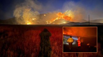 Incendio forestal