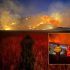 Incendio forestal
