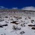 Senamhi emite alerta por nieve