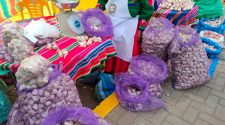 Ácora impulsa desarrollo local