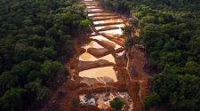 Áreas naturales protegidas