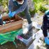 Diversas especies del ecosistema