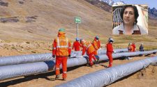 Experta en hidrocarburos
