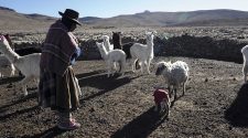 Heladas de moderada a fuerte intensidad