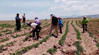 Pequeños agricultores