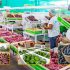 Agroexportaciones peruanas baten récord