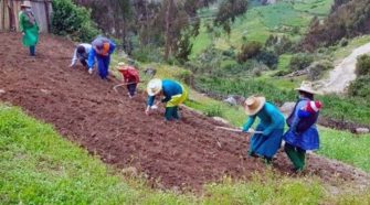Pequeños agricultores