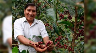 Productores de café