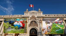 reduce el Impuesto a la Renta para grandes agroexportadoras
