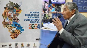 Director ejecutivo del CEPROIN