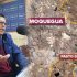 Límites entre Puno y Moquegua