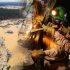 Mineros en REINFO