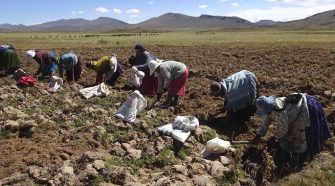 agricultura familiar