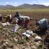 agricultura familiar