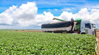 grandes agroexportadoras
