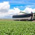 grandes agroexportadoras