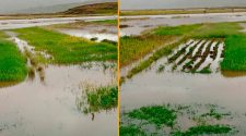 temporada de lluvias