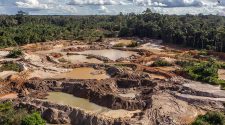 Autoridades sin conocimiento ambiental
