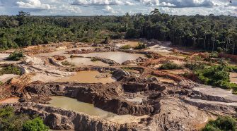 Autoridades sin conocimiento ambiental