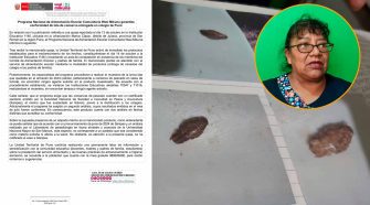 Directora de inicial 1146