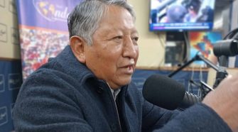 Economista advierte de la informalidad