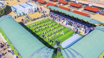 Feria de Camélidos Sudamericanos Agropecuario y Artesanal