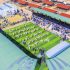 Feria de Camélidos Sudamericanos Agropecuario y Artesanal