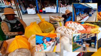 Feria del Productor Puneño