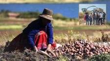 Migración de los jóvenes del campo
