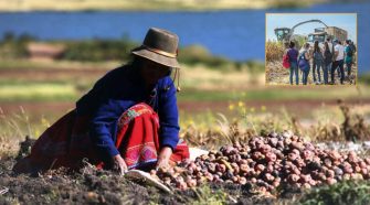 Migración de los jóvenes del campo