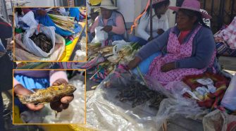 Comerciantes de Puno expresan malestar