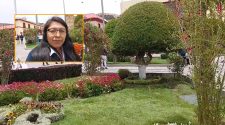 Piden respeto por las áreas verdes de la plaza de Puno