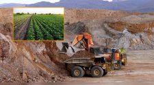 minería y agroindustria lideran el crecimiento