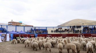 Alpaqueros recibieron reproductores