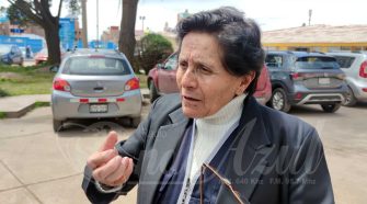 Jefa del área de Epidemiología de la Red de Salud San Román