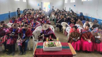 Tenientes gobernadores