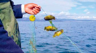 Contaminación del lago Titicaca