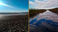 contaminación en el lago Titicaca