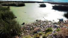 salvar el lago Titicaca