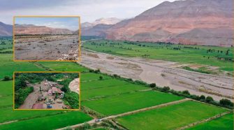 Activan Seguro Agrícola