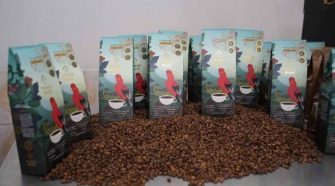 Caficultores y cacaoteros de Puno