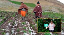 Agricultores de Puno contaran con seguro
