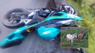Motocicleta choca contra caballo