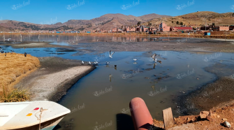 Contaminación del lago podría afectar salud y turismo en Puno