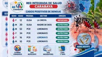 casos positivos de Dengue